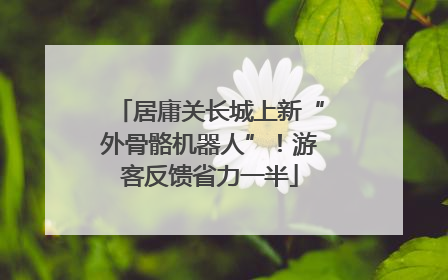 居庸关长城上新“外骨骼机器人”！游客反馈省力一半