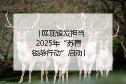 展现银发担当 2025年“苏青银龄行动”启动