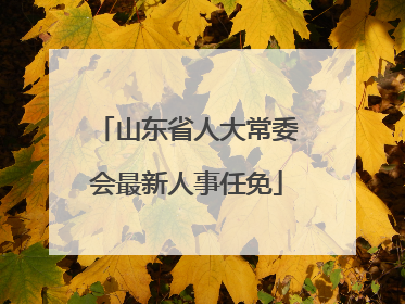 山东省人大常委会最新人事任免