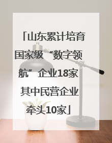 山东累计培育国家级“数字领航”企业18家 其中民营企业牵头10家
