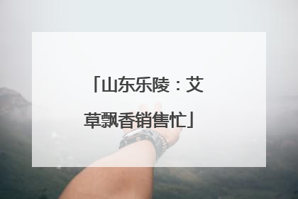 山东乐陵：艾草飘香销售忙