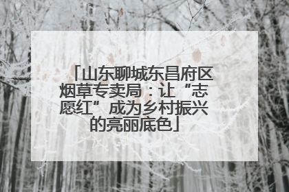 山东聊城东昌府区烟草专卖局：让“志愿红”成为乡村振兴的亮丽底色