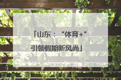 山东：“体育+”引领假期新风尚