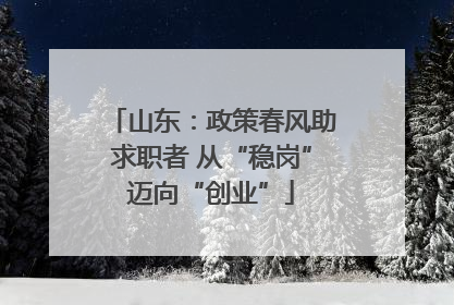 山东：政策春风助求职者 从“稳岗”迈向“创业”