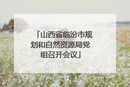 山西省临汾市规划和自然资源局党组召开会议