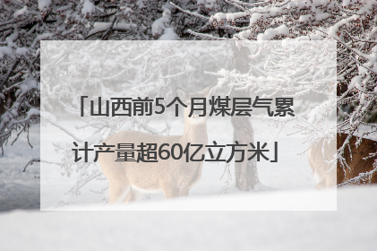 山西前5个月煤层气累计产量超60亿立方米