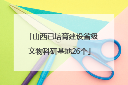 山西已培育建设省级文物科研基地26个