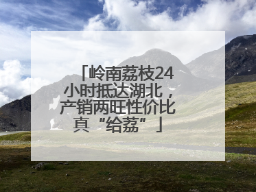 岭南荔枝24小时抵达湖北，产销两旺性价比真“给荔”