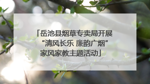 岳池县烟草专卖局开展“清风长乐 廉韵广烟”家风家教主题活动
