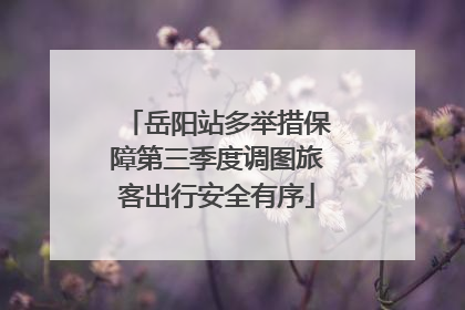 岳阳站多举措保障第三季度调图旅客出行安全有序