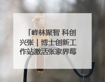 峰林聚智 科创兴张｜博士创新工作站激活张家界莓茶产业新动能