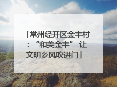 常州经开区金丰村：“和美金丰” 让文明乡风吹进门