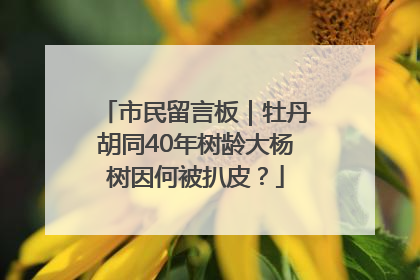 市民留言板｜牡丹胡同40年树龄大杨树因何被扒皮？