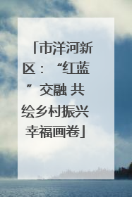 市洋河新区：“红蓝”交融 共绘乡村振兴幸福画卷