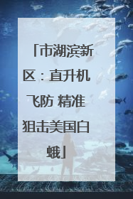 市湖滨新区：直升机飞防 精准狙击美国白蛾
