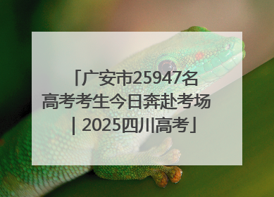 广安市25947名高考考生今日奔赴考场｜2025四川高考
