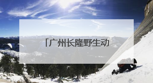 广州长隆野生动物世界已成功孕育了14只“长鼻猴二代三代”