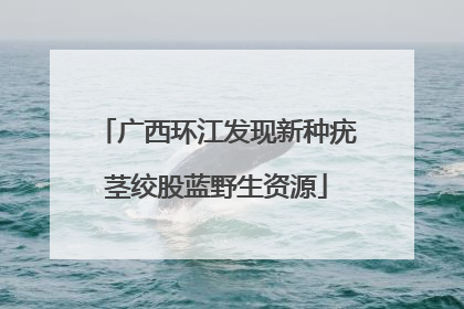 广西环江发现新种疣茎绞股蓝野生资源