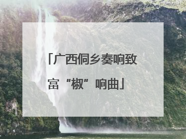 广西侗乡奏响致富“椒”响曲