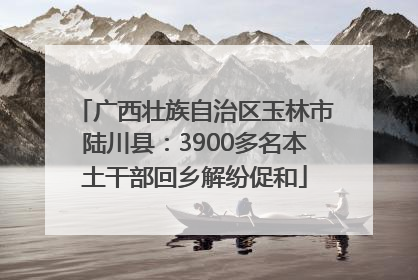 广西壮族自治区玉林市陆川县：3900多名本土干部回乡解纷促和