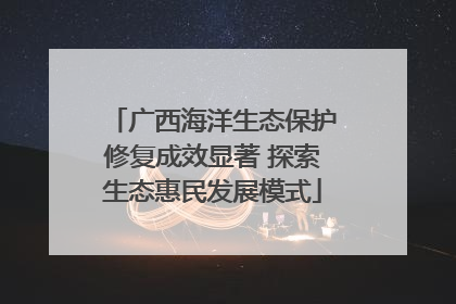 广西海洋生态保护修复成效显著 探索生态惠民发展模式