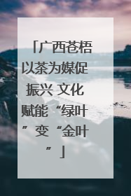 广西苍梧以茶为媒促振兴 文化赋能“绿叶”变“金叶”