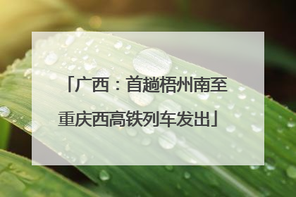 广西：首趟梧州南至重庆西高铁列车发出