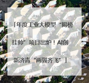 年度工业大模型“揭榜挂帅”项目出炉！AI创新济青“两翼齐飞”