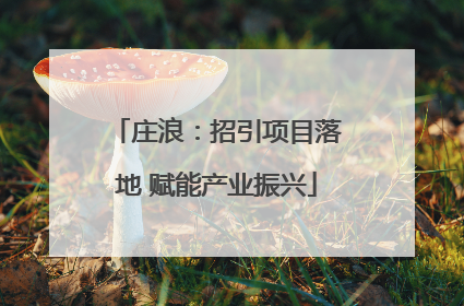 庄浪：招引项目落地 赋能产业振兴