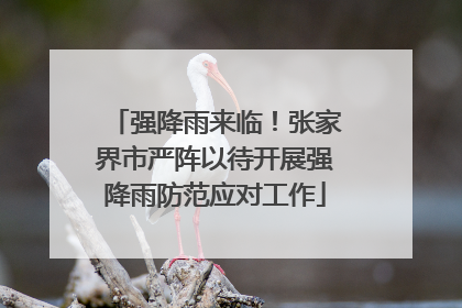 强降雨来临！张家界市严阵以待开展强降雨防范应对工作
