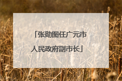张勋图任广元市人民政府副市长