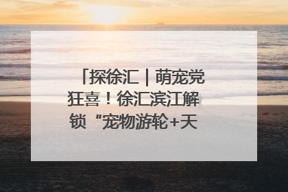 探徐汇｜萌宠党狂喜！徐汇滨江解锁“宠物游轮+天台乐园”双玩法