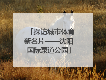 探访城市体育新名片——沈阳国际泵道公园