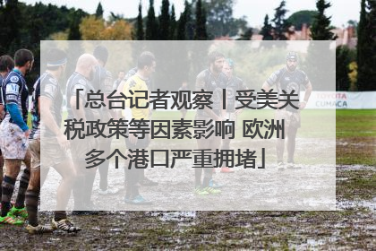 总台记者观察丨受美关税政策等因素影响 欧洲多个港口严重拥堵
