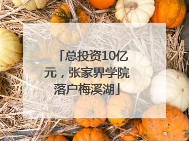 总投资10亿元，张家界学院落户梅溪湖