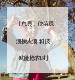 息县：秧苗绿浪接麦浪 科技赋能抢农时