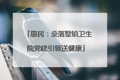 惠民：桑落墅镇卫生院党建引领送健康