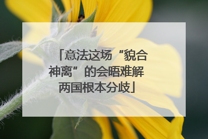 意法这场“貌合神离”的会晤难解两国根本分歧