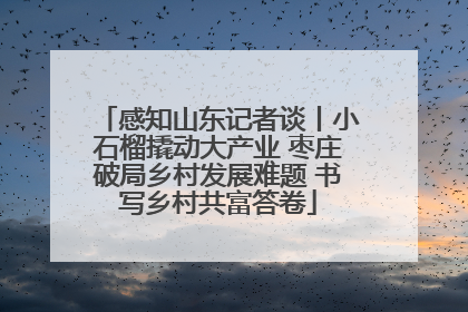 感知山东记者谈丨小石榴撬动大产业 枣庄破局乡村发展难题 书写乡村共富答卷