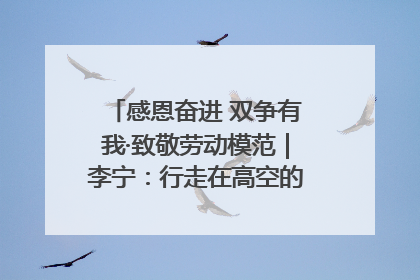 感恩奋进 双争有我·致敬劳动模范｜李宁：行走在高空的“电网卫士”