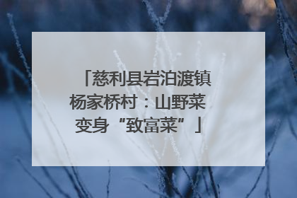 慈利县岩泊渡镇杨家桥村：山野菜变身“致富菜”