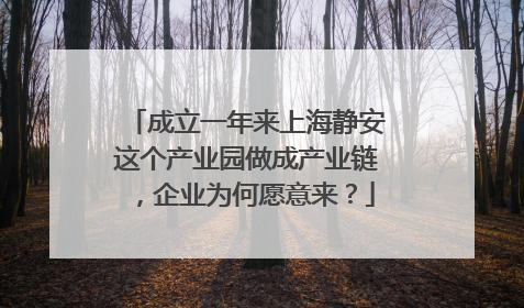 成立一年来上海静安这个产业园做成产业链，企业为何愿意来？