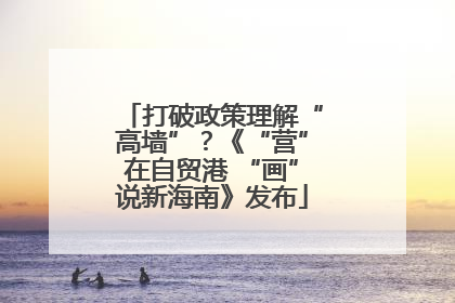 打破政策理解“高墙”？《“营”在自贸港 “画”说新海南》发布