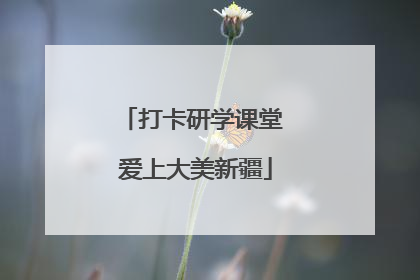 打卡研学课堂 爱上大美新疆