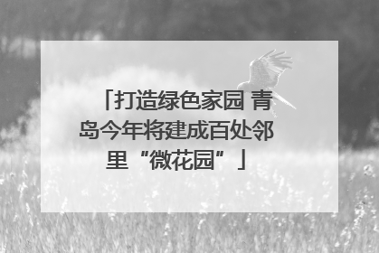 打造绿色家园 青岛今年将建成百处邻里“微花园”