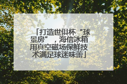 打造世俱杯“球景房”，海信冰箱用真空磁场保鲜技术满足球迷味蕾