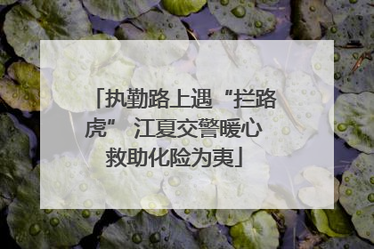 执勤路上遇“拦路虎” 江夏交警暖心救助化险为夷