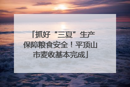 抓好“三夏”生产 保障粮食安全！平顶山市麦收基本完成