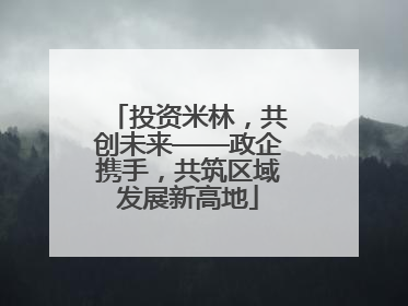 投资米林，共创未来——政企携手，共筑区域发展新高地