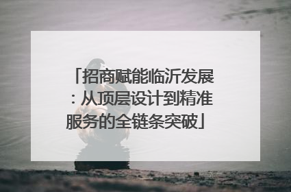 招商赋能临沂发展：从顶层设计到精准服务的全链条突破